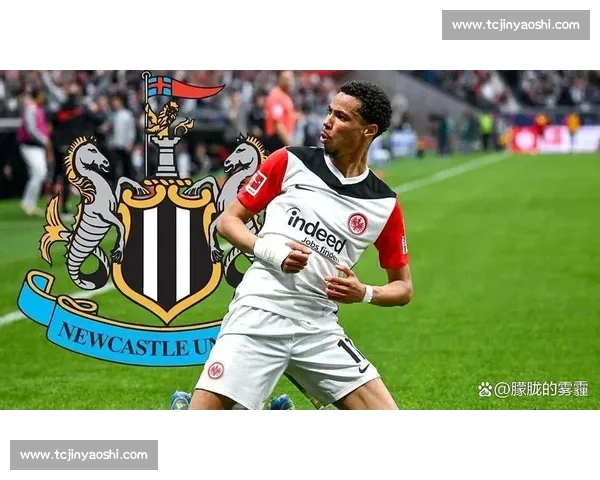 罗马诺确认：图卢兹任命贝扎尼为临时体育总监，红鸟集团力挽核心高管